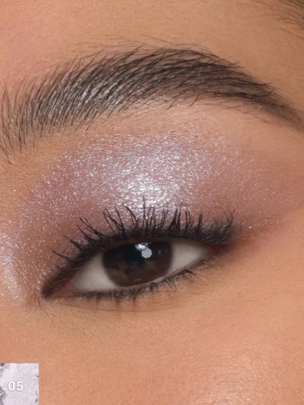 Morphe six compact